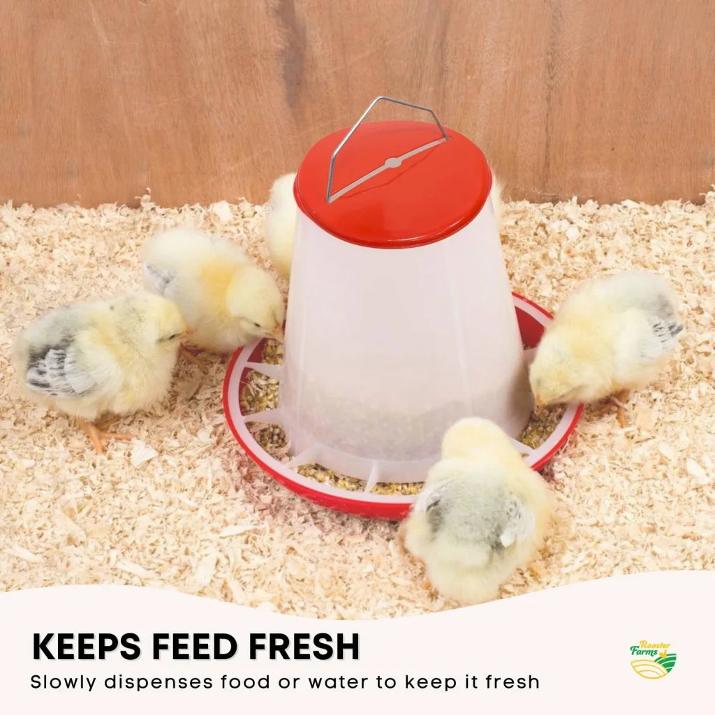 1.5Kg Automatic Chicken Feeder - Plastic Poultry Chook Hen