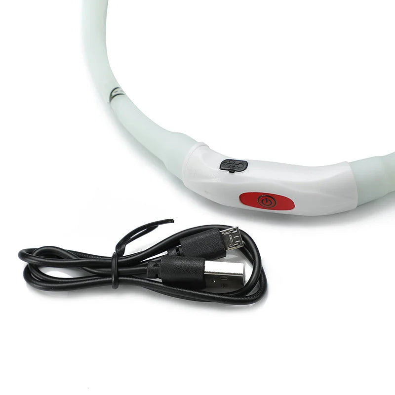 2 X YES4PETS Medium 55CM LED Dog Collar USB Rechargeable