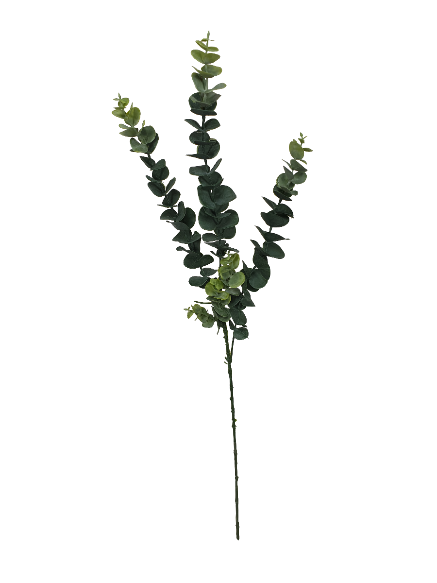 Eucalyptus Stem 5 Pack - Long 77cm
