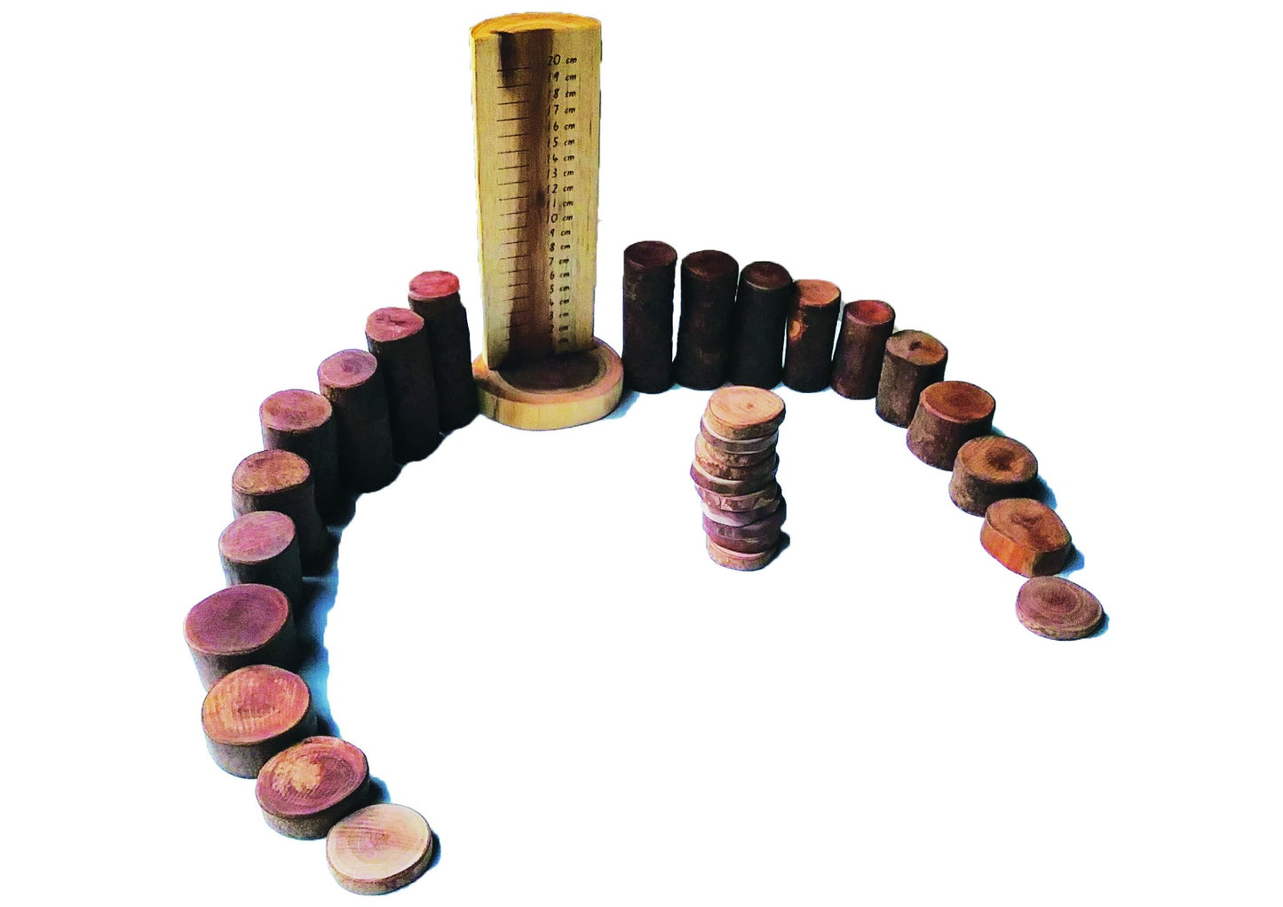 Tree Maths Set with Ruler