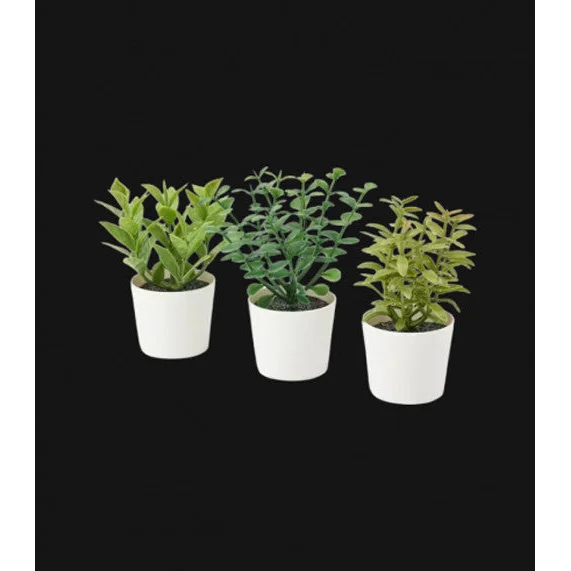 3 Pack of Artificial Herb Potted Plants in White Plastic