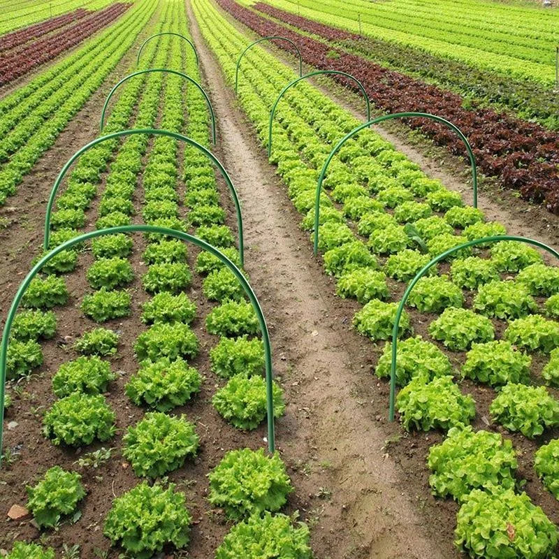 6PCS Greenhouse Plant Hoops Garden Tunnel Support for Row