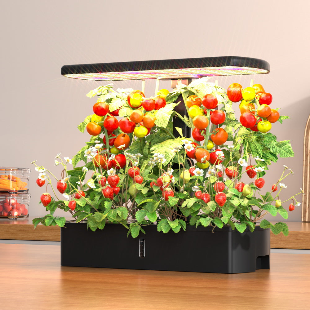 Hydroponics Growing System Green Fingers with LED Lights