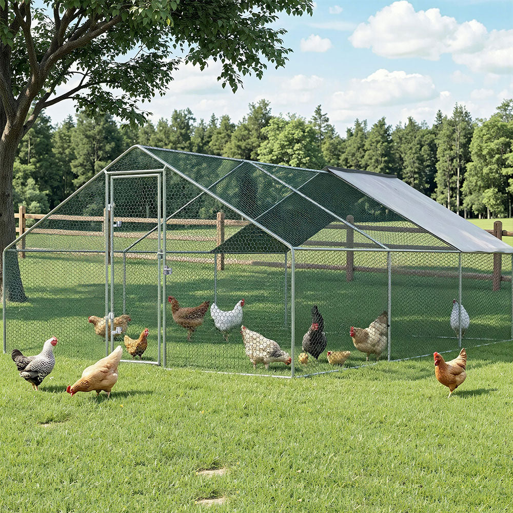 Chicken Coop Cage 3x6x2M Galvanized Steel PET CHICK B