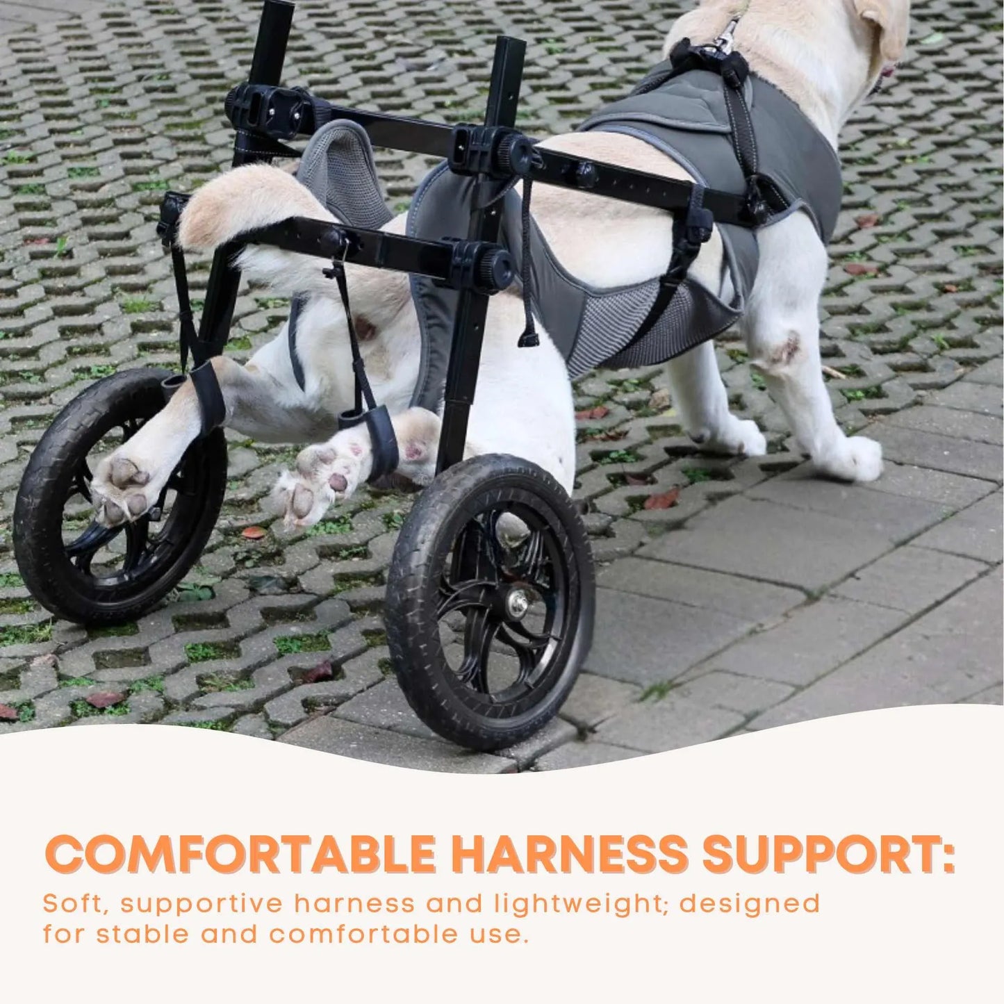 Rooster Farms Large Dog Wheelchair XL Harness - Adjustable Back Leg Aid