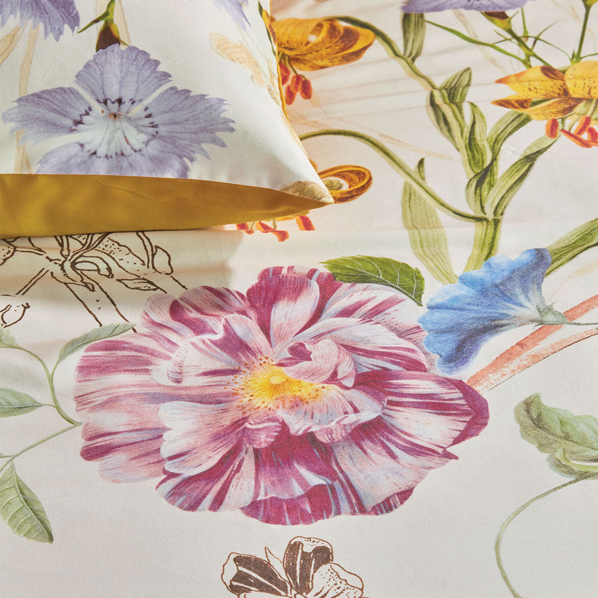 Quilt Cover Set Bedding House Beau Multi Cotton Sateen - King