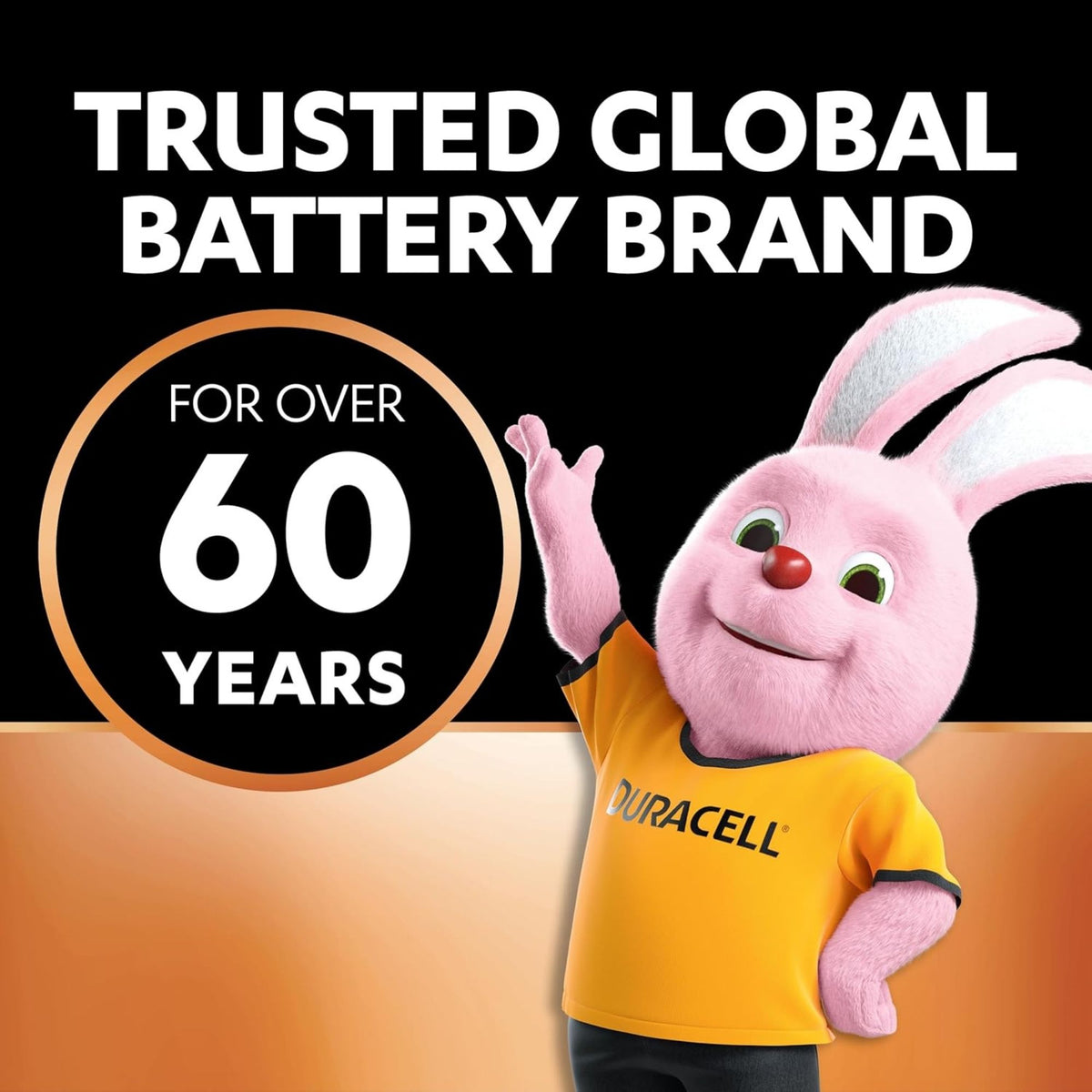 Duracell AAA Batteries 14pk x2
