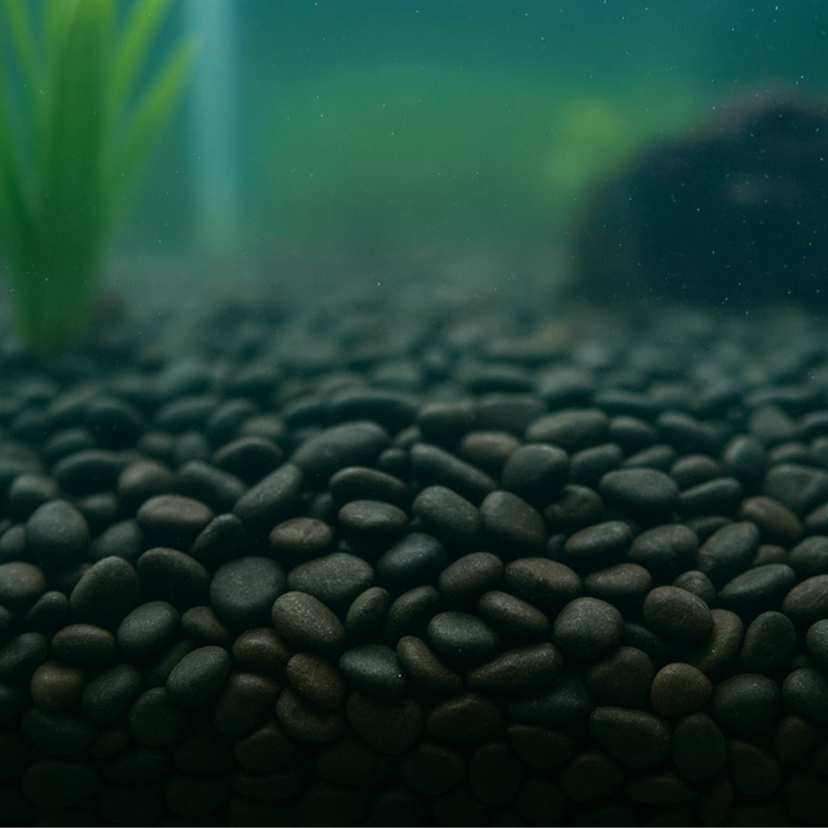 Showmaster 4-6mm Black Pebbles 5kg