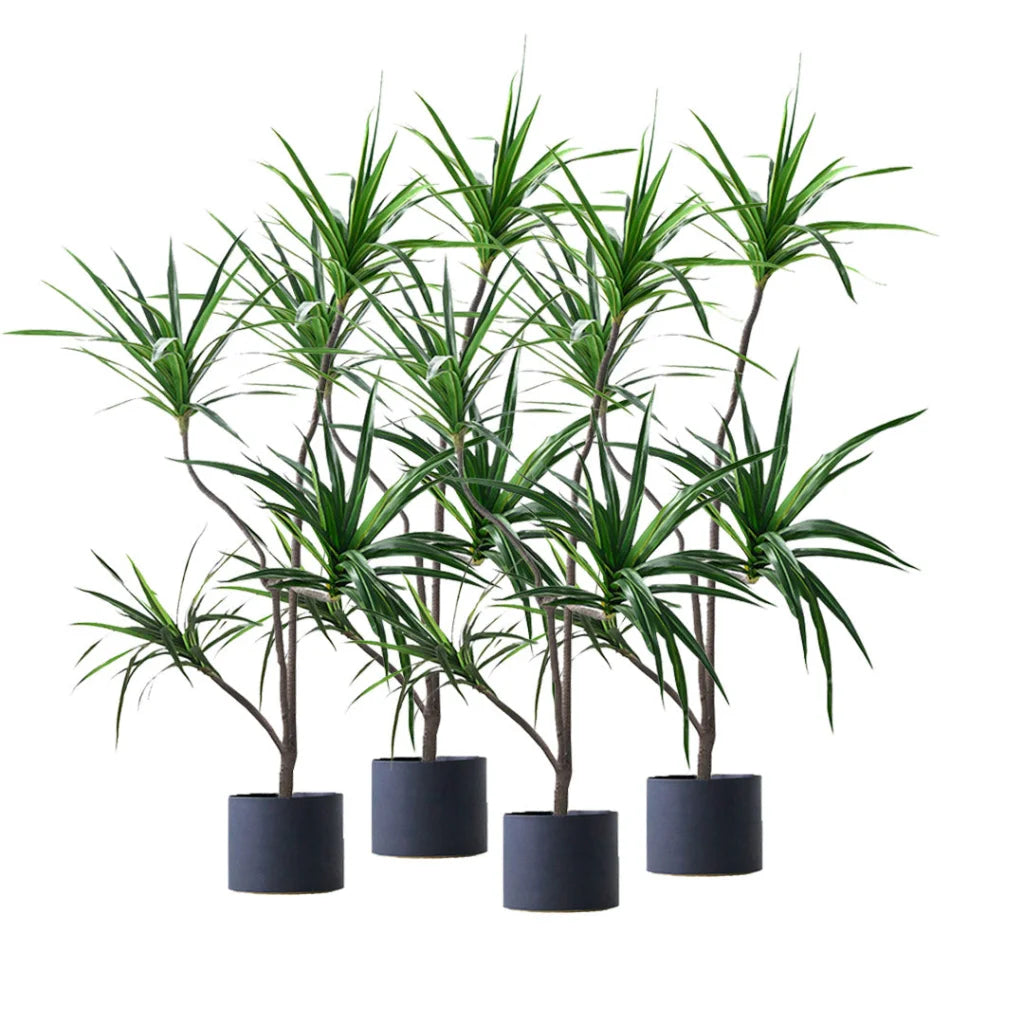 Artificial Indoor Brazilian Iron Tree Set Premium 4X 180cm Green Fake Decorative - 4 Heads