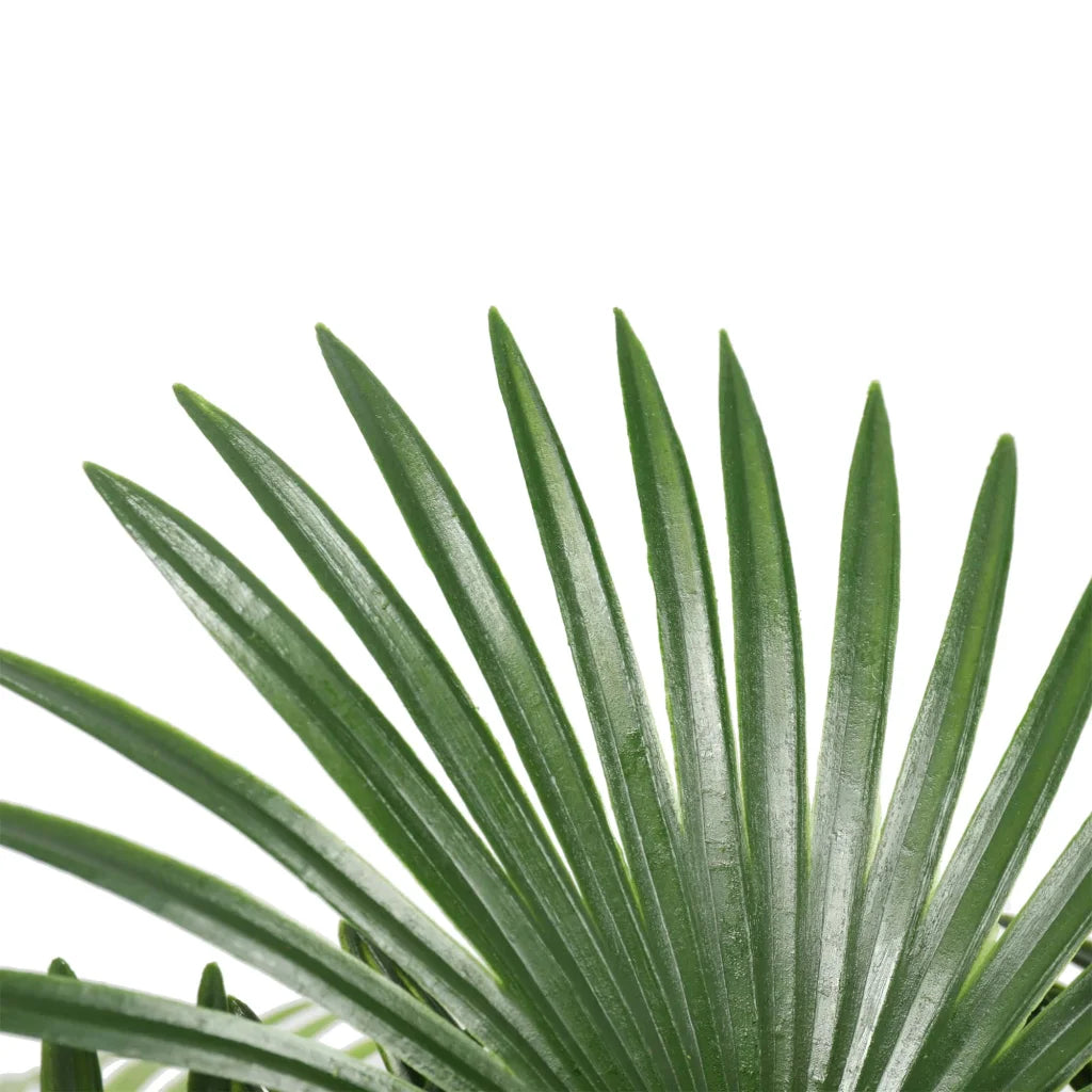 Artificial Wide Leaf Fan Palm Tree - 90cm