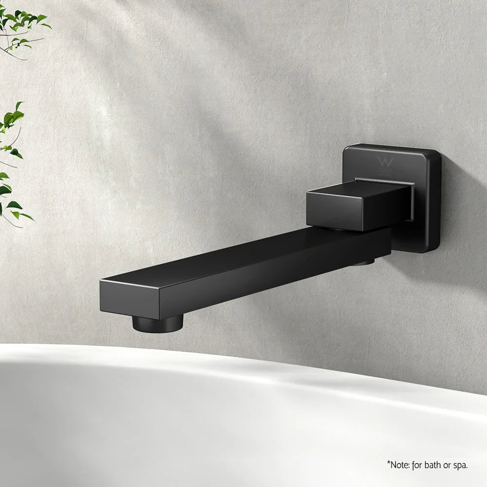 Black bathroom tap wall with polished finish and connector fittings