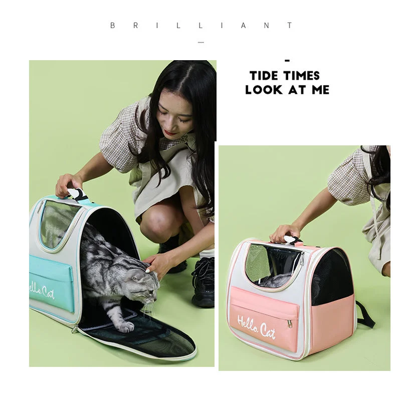 Blue Transparent Pet Carrier Backpack for Cats and Small
