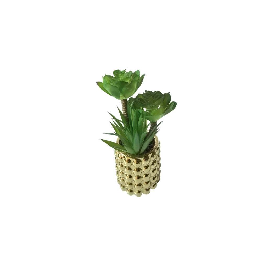 Bubble Pot Succulent Plant - Home & Garden > Artificial