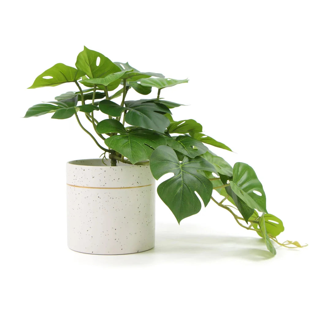 Decorative Ceramic Bowl with Potted Artificial Monstera