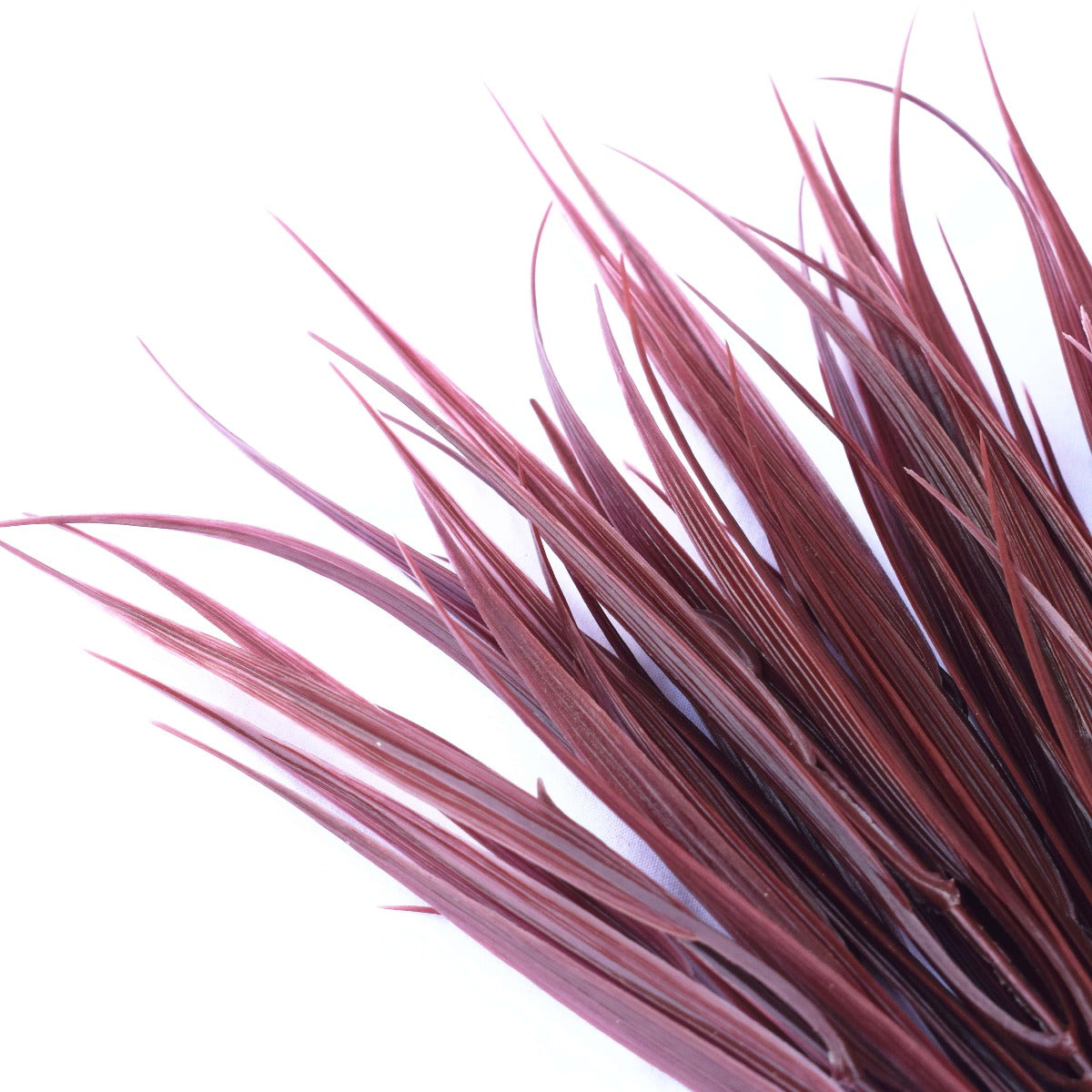 Dark Red Grass Stem UV Resistant - 35cm Long