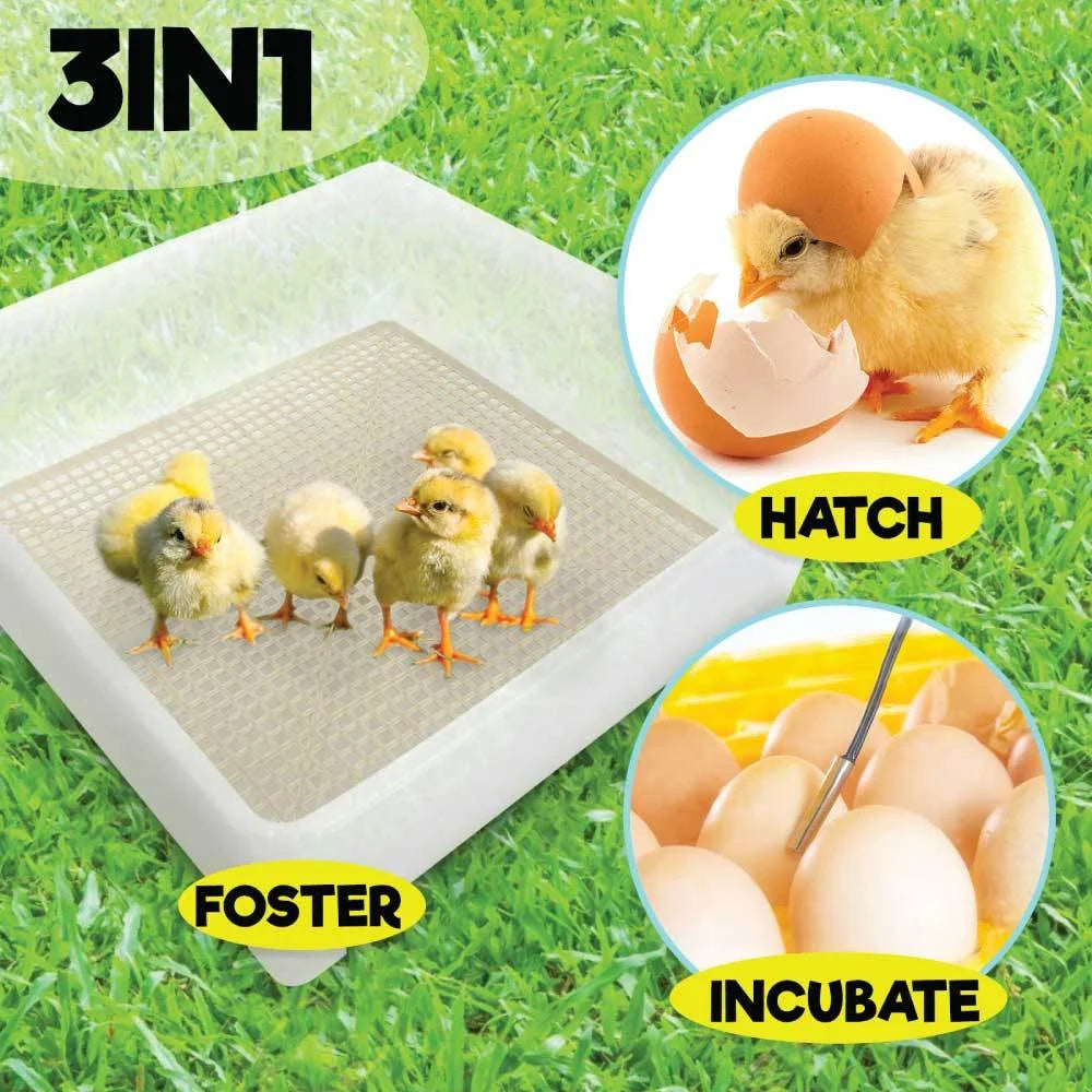 Electric 112 Egg Incubator + Accessories Hatching Eggs