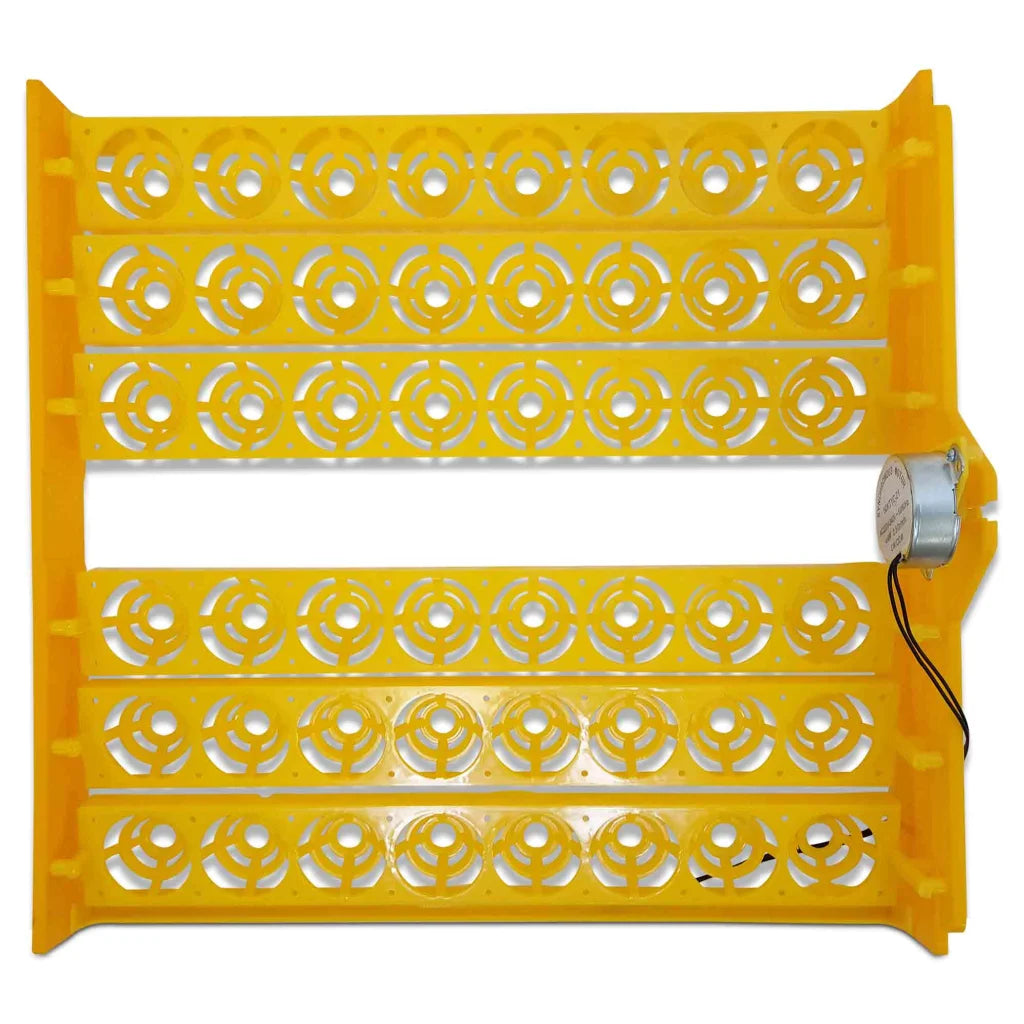 Electric 48 Egg Incubator + Accessories Hatching Eggs