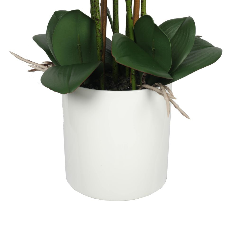 Potted Faux Orchid Large Multi-Stem White - 65cm