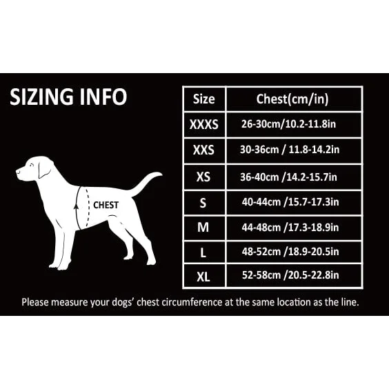 Floral Doggy Harness - Saxony Blue (XS)