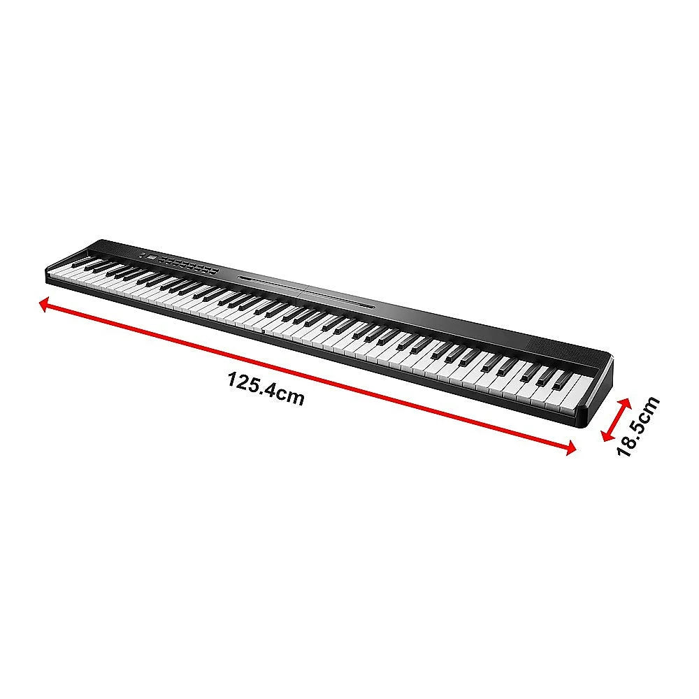 Folding Digital Piano 88 Key Velocity-Sensitive + Carry