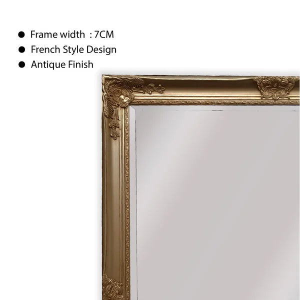 French Provincial Ornate Mirror - ANTIQUE CHAMPAGNE - X