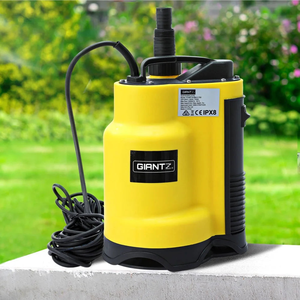 Garden Water Pump Submersible 750W Dirty Bore Sewerage Tank