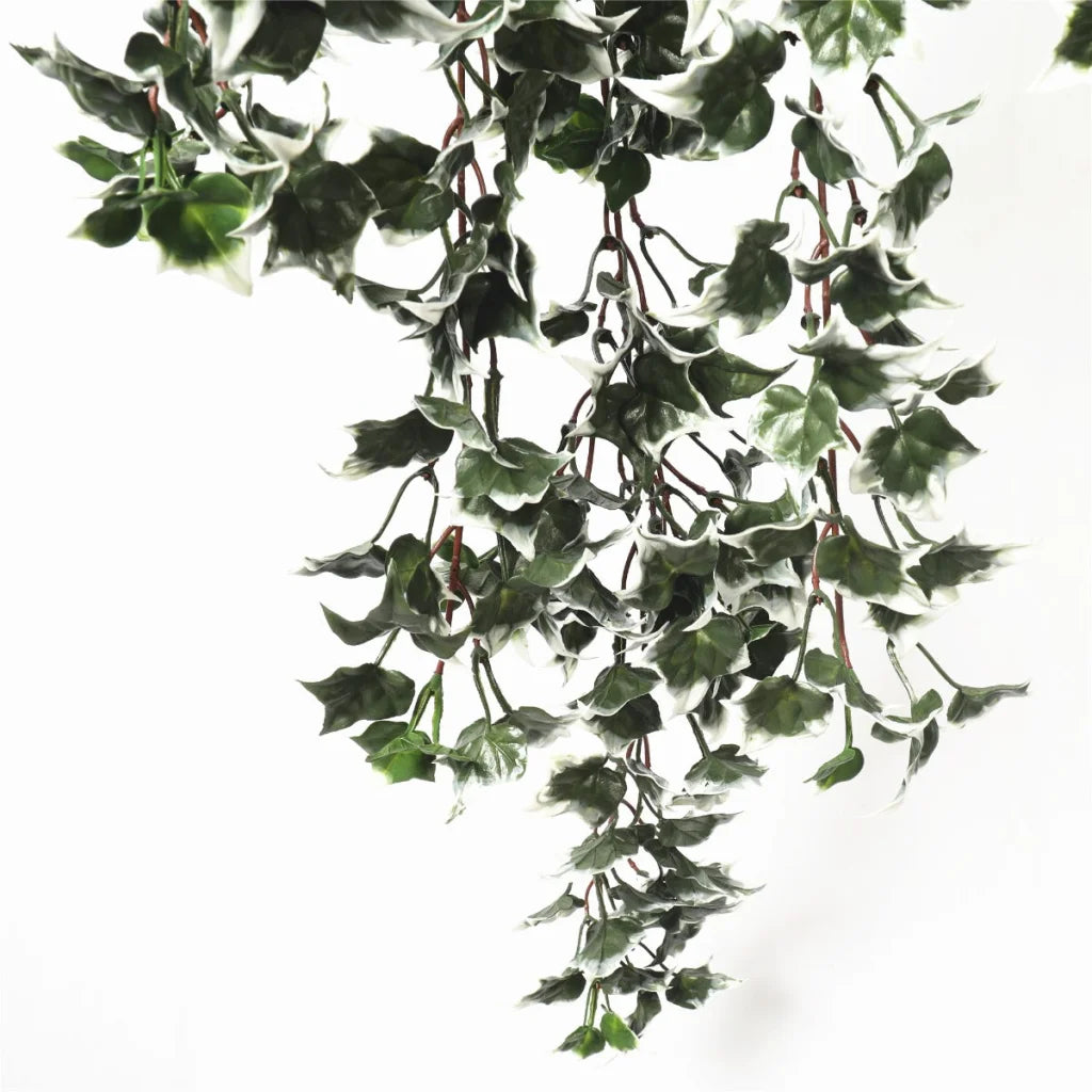 Hanging Ivy Bush Mixed Green and White Tipped 80cm UV