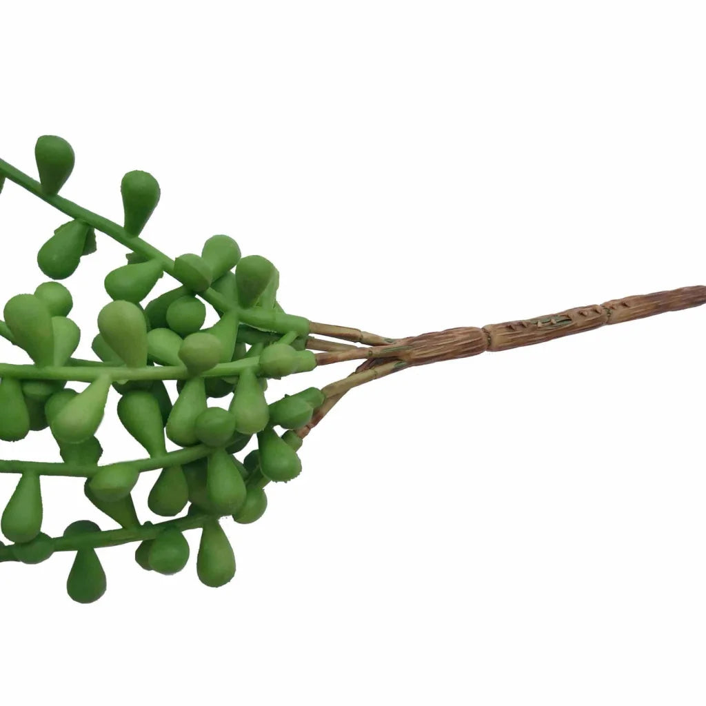 Hanging Succulent String Of Pearl Beads 75cm - Home &