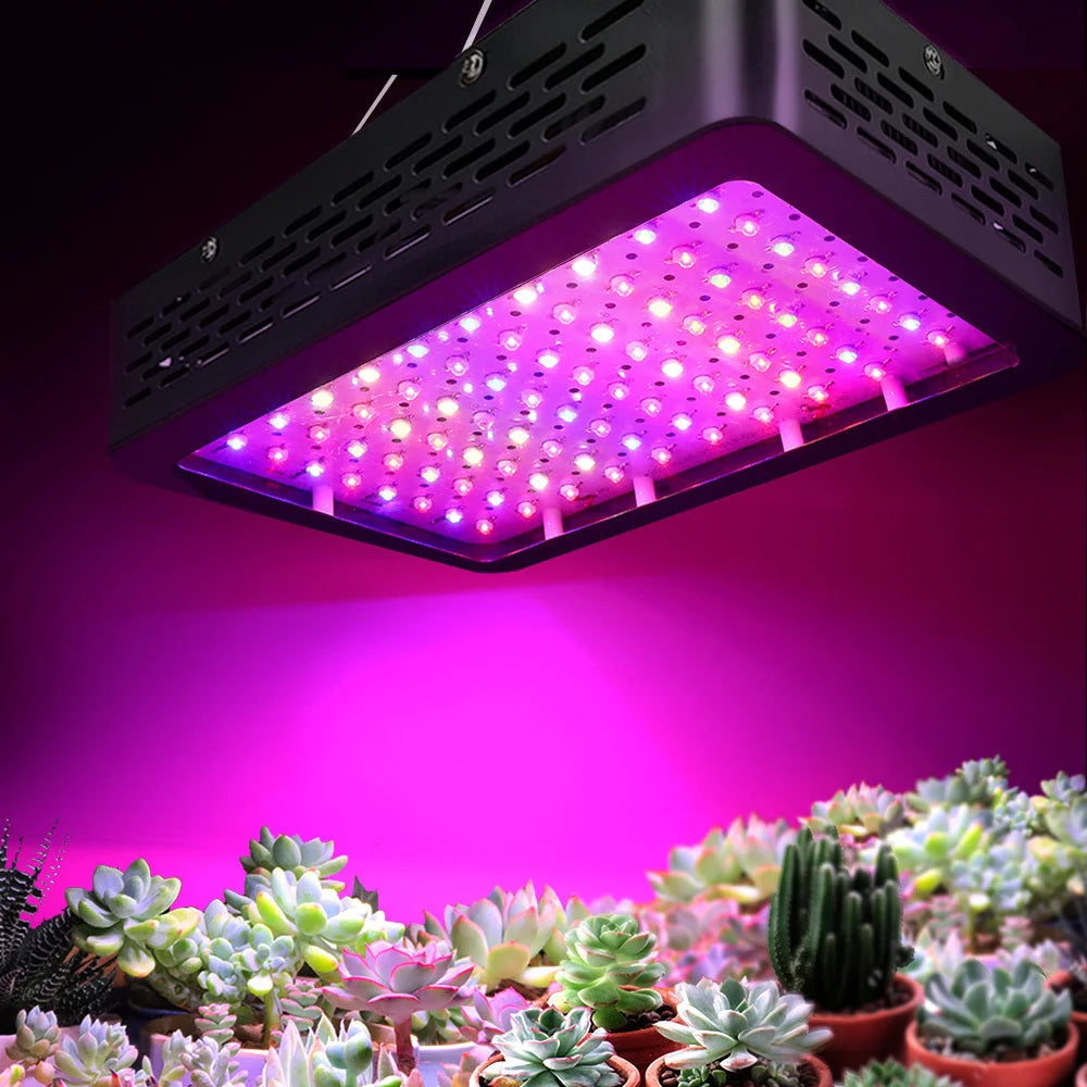LED Grow Light 1000W Full Spectrum - Promotion