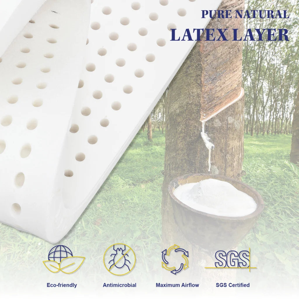 Mattress Grandeur King Single Latex Foam 7 Zone Pocket