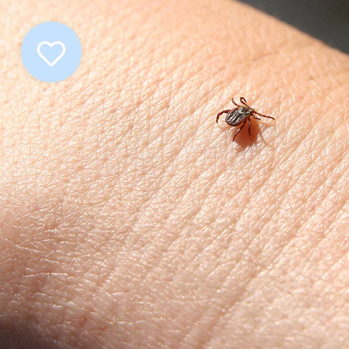 Mitey Tick Off For You Electronic Tick Repeller - Pet Care
