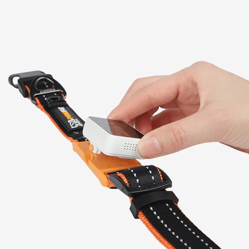 Pawfit 3 Collar - Small - Pet Care