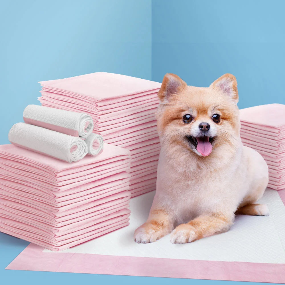 Pet Training Pads 400PCS - Puppy Dog Cat Toilet Indoor