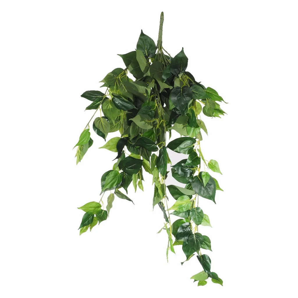 Philodendron Garland Bush 100cm, UV