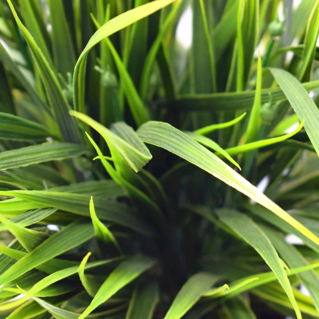Potted Dense Green Grass Ornamental 38cm - Artificial Plants