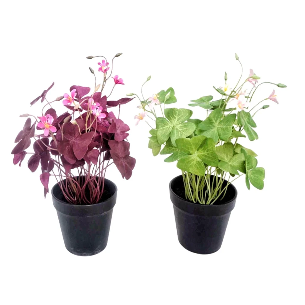 Set 2 Artificial Oxalis Triangularis Plant In Plastic Pot