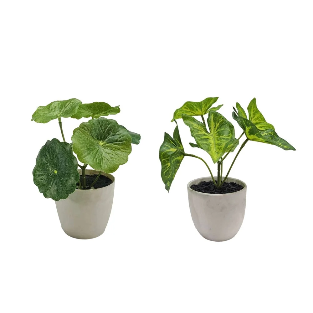 Set 2 Artificial Taro & Lotus Plant In Plastic Pot 7x15cm