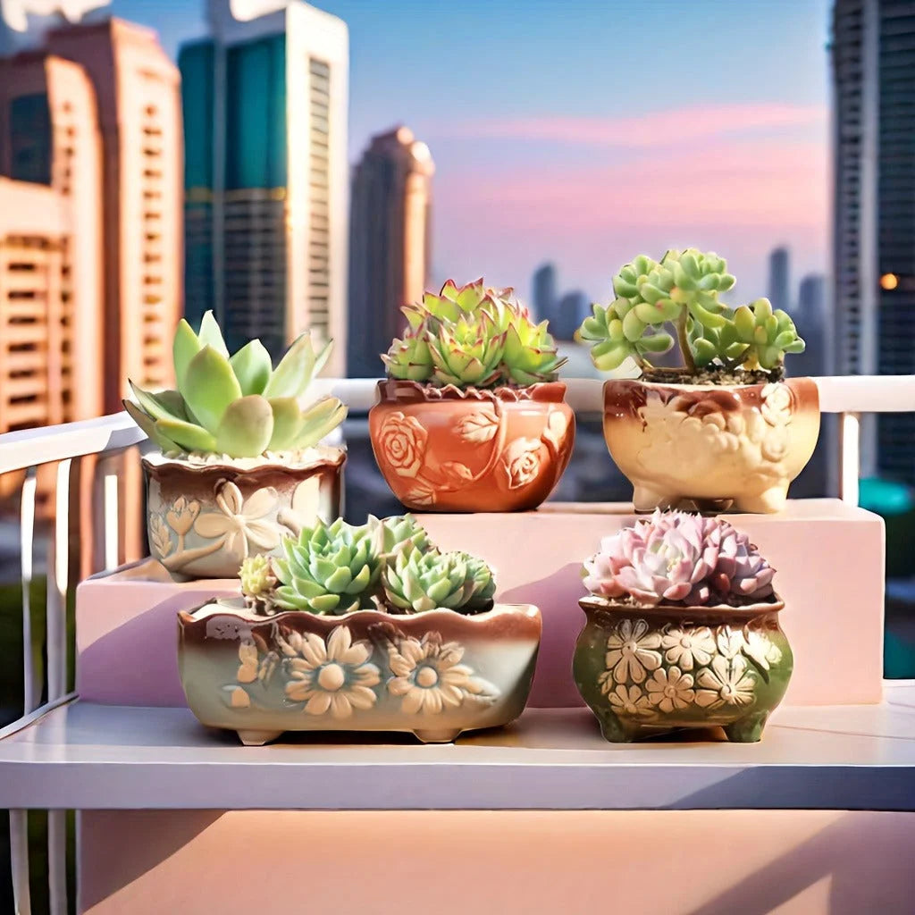 Set of 5 Succulent Plant Pots Flower Patterned