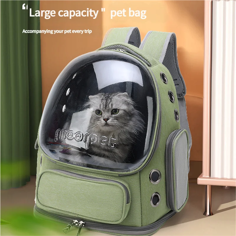 Spacious Pet Carrier with Ventilation System &