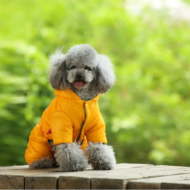 Turmeric Warm Puffer Dog Coat - Waterproof Four-Legged