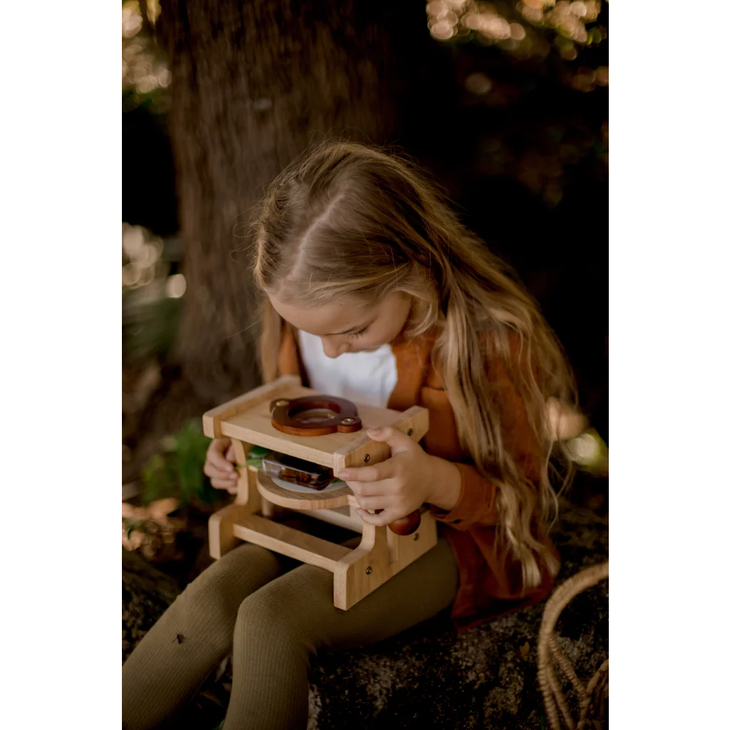 Wooden Microscope - Furniture > Office > Desks