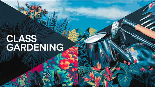 Gardening Like a Pro: Master the Class System for Thriving