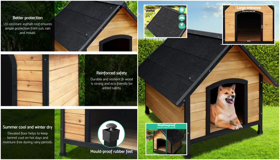 Give Your Pup the Comfort of Home: Why a Quality Outdoor