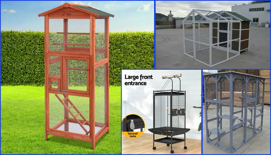 How Many Birds Per Cage?