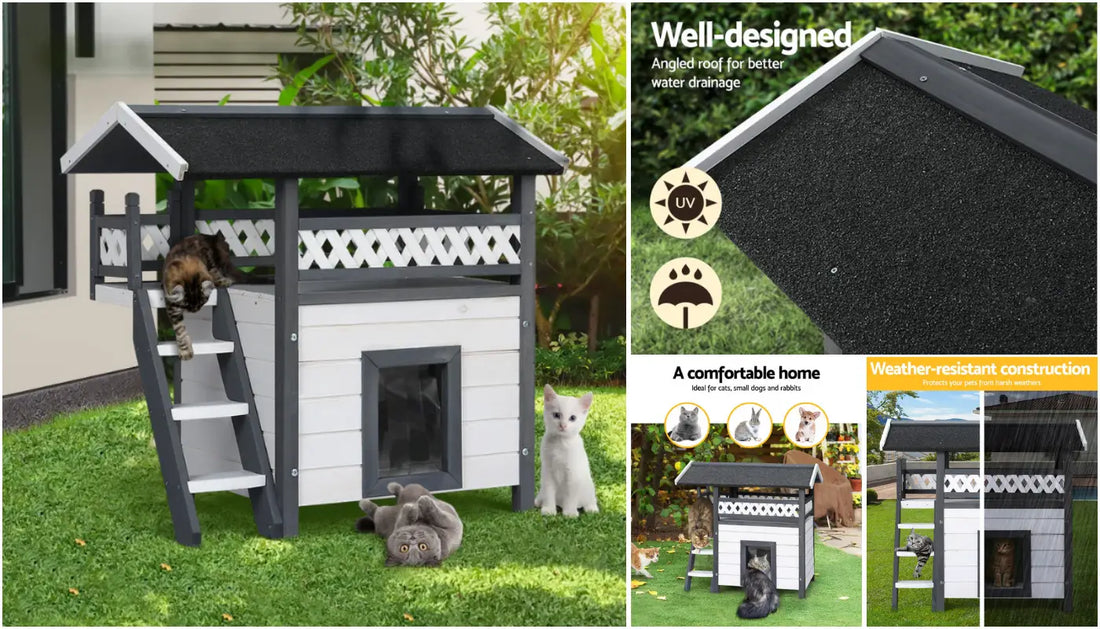 The Ultimate Guide to Choosing the Best Cat House
