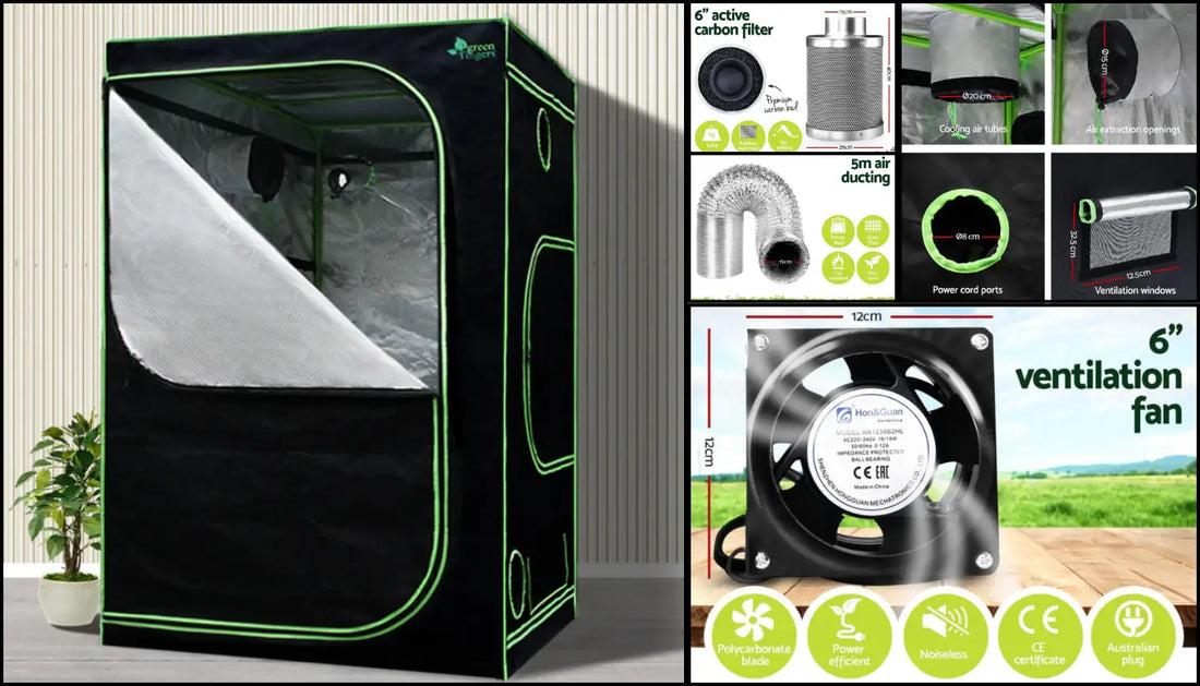 The Ultimate Guide to Indoor Gardening with a 1000W LED