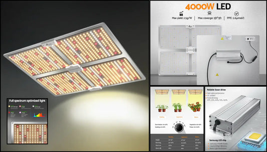 The Ultimate Guide to Using a LED Grow Light 4500W