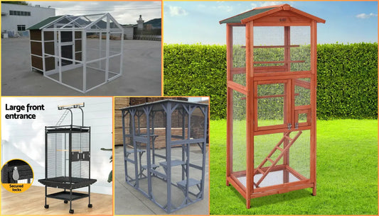What Size Bird Cage for a Cockatiel?