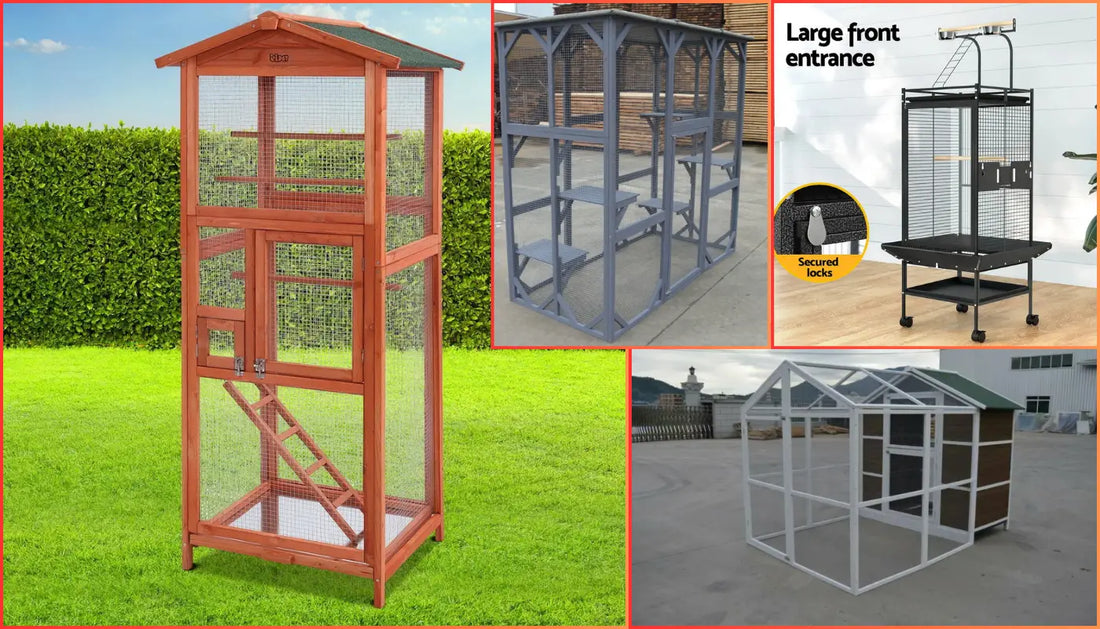 What Size Cage for 2 Budgies?