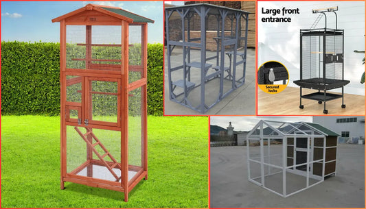 What Size Cage for 2 Budgies?